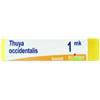 Boiron Thuya Occidentalis Mk Globuli