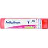 Boiron Folliculinum 7ch Gr 4g