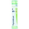 Boiron Thyroidea 5ch Gr 4g