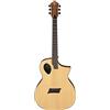 Michael Kelly - FORTE PORT - Chitarra acustica elettrificata - Port Tech - Natural