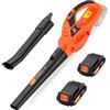 Leisch Life Soffiatore per foglie senza fili, 21 V, elettrico, portatile, con 2 batterie da 2,0 Ah e caricabatterie, leggero e alimentato a batteria, per la cura del prato, del patio, del cortile, del