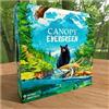 Weird City Games Canopy Evergreen - Strategy Board Game - for 1 to 4 Players and Ages 10+
