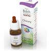 Guna Chicory Gocce 10ml