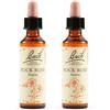 Schwabe Pharma Italia Schwabe Pharma Rock Rose Bach Orig 2x20 ml Gocce orali