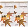L'Erbolario Ambraliquida Bagnogel con Microsfere alla Vitamina E 2x250 ml Additivo per il bagno
