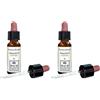 Erba Vita Walnut Original Gocce 10 Ml 2x10 ml
