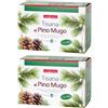 Naturwaren Dr Theiss Naturplus Tisana Pino Mugo Filtri 2x20 g