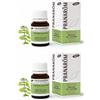 Pranarom Olio Essenziale Menta Campestre Parti Aeree 2x10 ml Soluzione orale