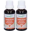 Herbalgem Ginkgogem Microcircolo Concentrato di Gemme Fresche Gocce 2x30 ml Spray
