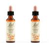 Schwabe Pharma Italia Schwabe Pharma Cherry Plum Bach Orig 2x20 ml Gocce orali