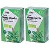 Salus Tisana Menta Piperiata 2x30 g Bustine filtro