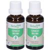 Herbalgem Ginko Biloba Giovani Foglie Concentrato di Gemme Fresche Gocce 2x30 ml Soluzione orale