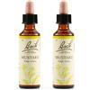 Schwabe Pharma Italia Schwabe Pharma Fiori di Bach Mustard 2x20 ml Gocce orali