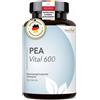 DocVital Capsule PEA 120 St