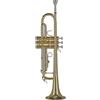 Gewa Tromba in Sib Gewa Ambition TR650 con Astuccio e Bocchino 7C