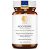Sonstige Nootropico - Formula avanzata per il supporto cognitivo con Bacopa, Ginkgo, Tirosina, Teanina, Caffeina, Vitamina B6 e B12