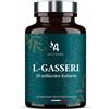Apyforme - Fermenti lattici Lactobacillus Gasseri - Fino a 50 miliardi di UFC/giorno - 60 capsule - 100% francese