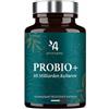 Apyforme - Fermenti lattici - Fino a 60 miliardi di UFC/giorno - 10 ceppi batterici esclusivi incl. Lactobacillus - 60 capsule gastroresistenti