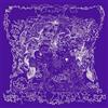 Fera Psiche Liberata (Vinyl LP) 12" Album
