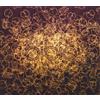 Bibio The Apple and the Tooth (CD) Album