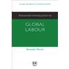 Ronaldo Munck Advanced Introduction to Global Labour (Tascabile)