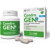 Innovet Condrogen® Puppy Alimento complementare per le articolazioni di cuccioli 60
