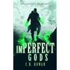 C.N. Rowan imPerfect Gods (Tascabile) imPerfect Cathar
