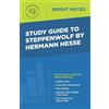 Study Guide to Steppenwolf by Hermann Hesse (Tascabile) Bright Notes