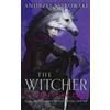 Andrzej Sapkowski The Lady of the Lake (Copertina rigida) Witcher