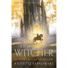 Andrzej Sapkowski The Tower of the Swallow (Copertina rigida) Witcher