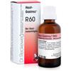 Dr. Reckeweg Reckeweg R60 Gocce 22 Ml