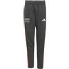 adidas Unisex - Bambini e Ragazzi Audi Revolut Formula One Team Dna Pants, Utility Black, 13-14 Years