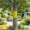 Bellanova 5 m Nastro Collante Biadesivo per Alberi, 25 cm