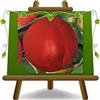 EURO PLANTS VIVAI EURO PLANTS Pesco Pesche Nettarine a Polpa Gialla Maria Carla Età 2 Anni