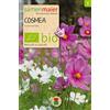 Samen Maier GmbH BIO Cosmea, miscelatore. (Cosmos bipinnatus)