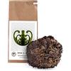 YAKEBA | Rosa di Gerico | Media | Selaginella lepidophylla | Sacchetto di carta | Perfetto come decorazione o come accessorio per terrari/bottiglie da giardino | Pianta nel vaso e diventerà già verde