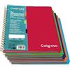 colorosa Quaderno Spiralato A4 5 Divisori Removibili | 4 Fori e Zigrinatura per Strappo | Carta 80g 120 Fogli + 2 Risguardi (Quadretti 5mm, Blu)