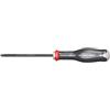 Facom ATWSH5X100 - Cacciavite