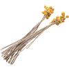 pQirnvIL 40 Pezzi Fiori Secchi di Craspedia Fiori Secchi con Palline, Bouquet di Fiori Secchi per Decorazioni per La Casa di Nozze