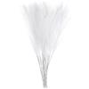 QUARKZMAN 16pz Erba di Pampa Finta 53cm Artificiale Finto Erba Pampa Decorativo per Riempitivo Vaso Pavimento, Decorazione Matrimonio, Decorazione Casa, Bianco