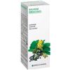 Specchiasol Centella 69 Tintura Madre 50 ml