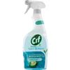 CIF SPRAY GREEN VETRI BRIL.650ml BERGAM.