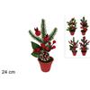 XY Piantina Decorata C/Bacche Pigne E Pallina Ass Xy21-143/144/145/146/147