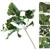 Altro STELO GREEN LEAVES 58CM 4 ASS.