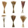 Bizzotto BOUQUET FIORI ESSICATI CM 50