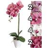 Florarte ORCHIDEA REAL TOUCH 48CM 4ASS