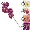 Aquanova Home RAMO ORCHIDEA SINGLE 73CM 4ASS