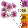 Florarte STELO DAISY COLORFUL 55CM 4 ASS.