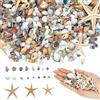 CUVZORA Mini conchiglie, piccole stelle marine naturali, conchiglie sfuse per fai da te, ideali per decorazioni per feste, tema spiaggia, riempimento di vasi, acquari, progetti artigianali