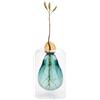 Balvi Vaso portafiori Avocado Vase Colore verde Coltivatore di avocado Vetro